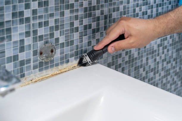 Best Affordable Mold Removal  in Whitehall, MI