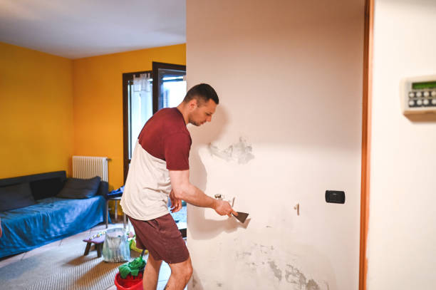 Professional Mold Removal in Whitehall, MI