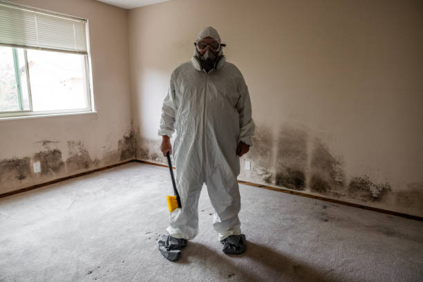 Best Professional Mold Removal  in Whitehall, MI